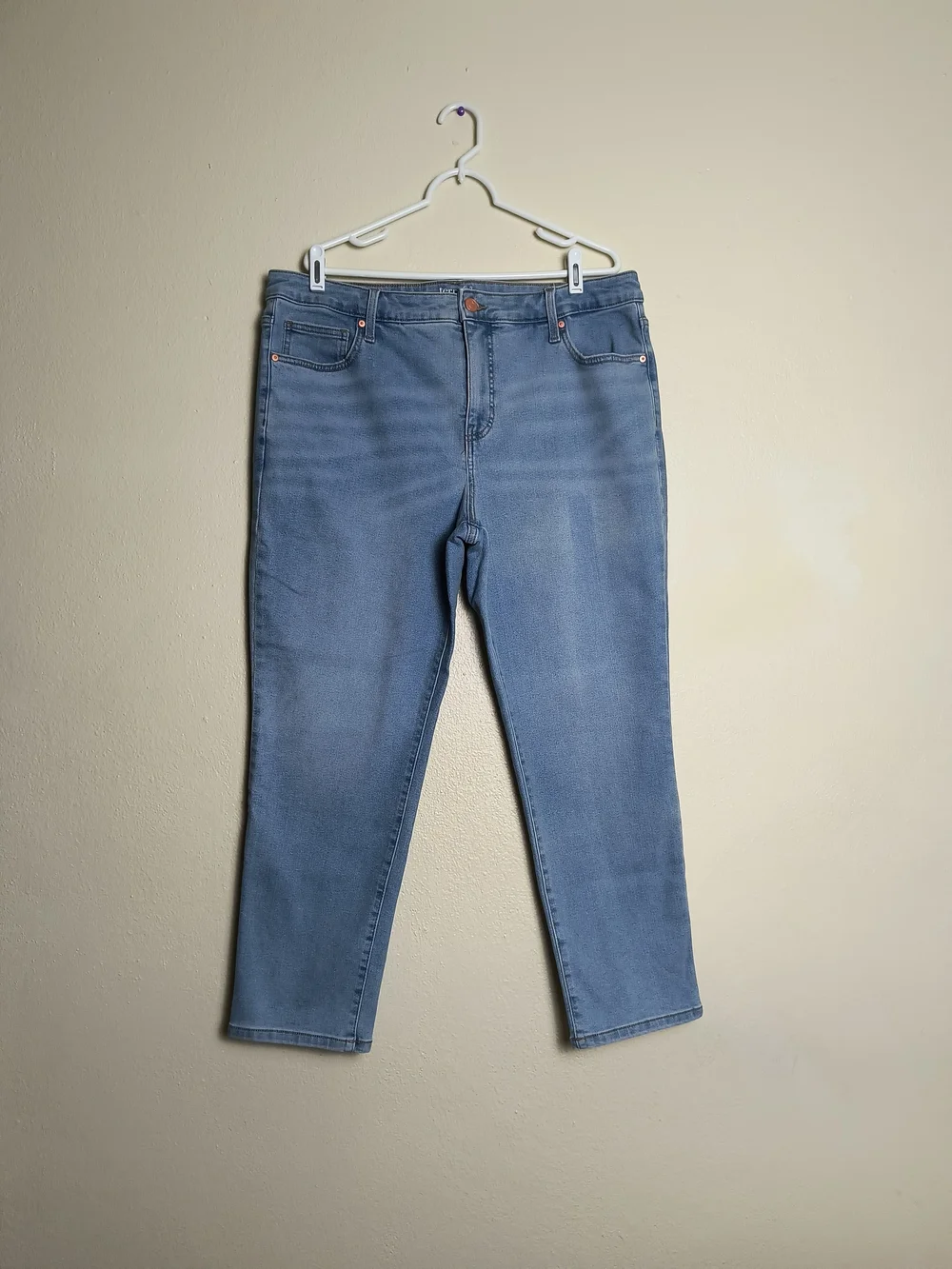 Terra & Sky 16W Petite Light Blue Straight Jeans